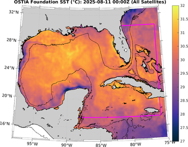 SST_20250811T0000Z.png