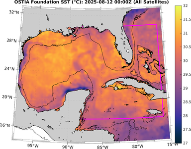 SST_20250812T0000Z.png