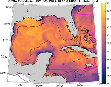 SST_20250813T0000Z.png