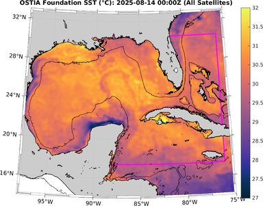 SST_20250814T0000Z.png