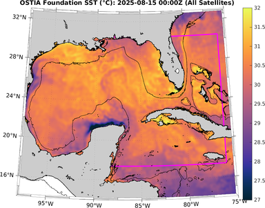 SST_20250815T0000Z.png