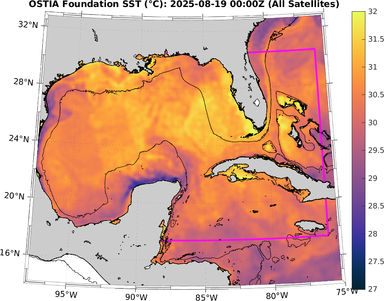 SST_20250819T0000Z.png