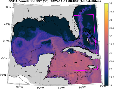 SST_20251107T0000Z.png