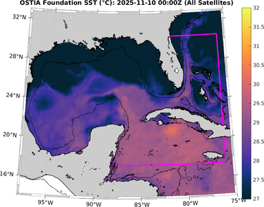 SST_20251110T0000Z.png