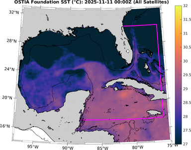 SST_20251111T0000Z.png