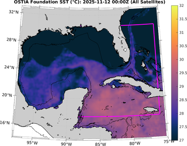 SST_20251112T0000Z.png