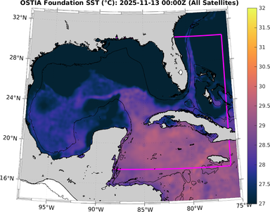 SST_20251113T0000Z.png