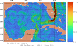 ccnt_Vavg1000m_GomR25deg051_003.gif