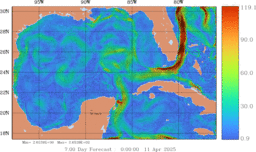 ccnt_Vavg1000m_GomR25deg051_006.gif