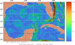 ccnt_Vavg1000m_GomR25deg010_007.gif