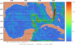 ccnt_Vavg1000m_GomR25deg004_007.gif