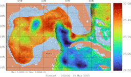 ccnt_SigmaT0150mFull_GomR25deg002_001.gif