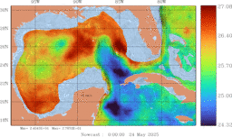 ccnt_SigmaT0150mFull_GomR25deg008_001.gif