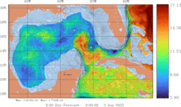 ccnt_T0500mFull_GomR25deg004_001.gif