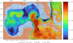 ccnt_T0150mFull_GomR25deg008_001.gif