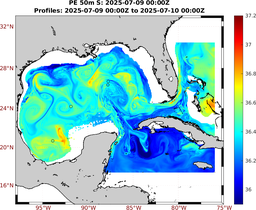 PE_2025_Jul01_GomR25deg004_0050m_20250709_0000Z_dds2025070900Z_dde2025071000Z_S_nocirc.png