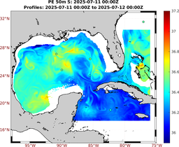 PE_2025_Jul11_GomR25deg001_0050m_20250711_0000Z_dds2025071100Z_dde2025071200Z_S_nocirc.png