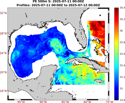 PE_2025_Jul11_GomR25deg001_0500m_20250711_0000Z_dds2025071100Z_dde2025071200Z_S_nocirc.png