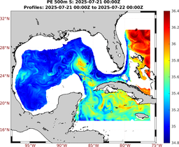 PE_2025_Jul11_GomR25deg001_0500m_20250721_0000Z_dds2025072100Z_dde2025072200Z_S_nocirc.png