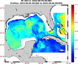 PE_2025_Jun06_GomR25deg002_0050m_20250605_0000Z_dds2025060500Z_dde2025060600Z_S_nocirc.png