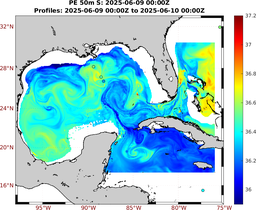 PE_2025_Jun06_GomR25deg002_0050m_20250609_0000Z_dds2025060900Z_dde2025061000Z_S_nocirc.png