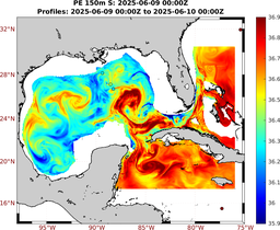 PE_2025_Jun06_GomR25deg002_0150m_20250609_0000Z_dds2025060900Z_dde2025061000Z_S_nocirc.png