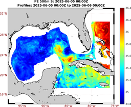 PE_2025_Jun06_GomR25deg002_0500m_20250605_0000Z_dds2025060500Z_dde2025060600Z_S_nocirc.png