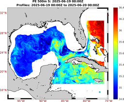 PE_2025_Jun17_GomR25deg004_0500m_20250619_0000Z_dds2025061900Z_dde2025062000Z_S_nocirc.png