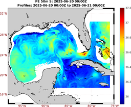 PE_2025_Jun20_GomR25deg003_0050m_20250620_0000Z_dds2025062000Z_dde2025062100Z_S_nocirc.png