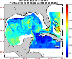 PE_2025_Jun20_GomR25deg003_0050m_20250624_0000Z_dds2025062400Z_dde2025062500Z_S_nocirc.png
