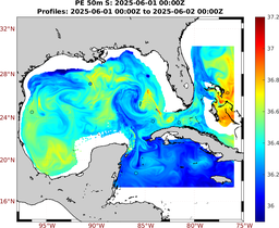 PE_2025_May30_GomR25deg008_0050m_20250601_0000Z_dds2025060100Z_dde2025060200Z_S_nocirc.png