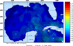 wstr_20240211_0000.gif