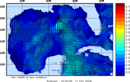 wstr_20240211_1200.gif