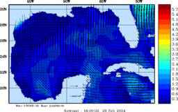 wstr_20240228_1800.gif