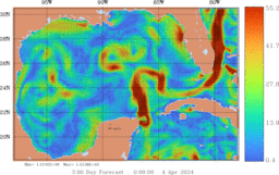 ccnt_Vavg1000m_GomR25deg006_003.gif
