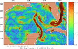 ccnt_Vavg1000m_GomR25deg004_003.gif