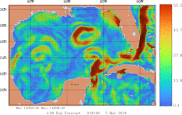 ccnt_Vavg1000m_GomR25deg003_004.gif