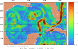 ccnt_Vavg1000m_GomR25deg005_004.gif