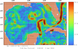 ccnt_Vavg1000m_GomR25deg005_005.gif