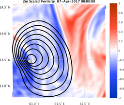 smallDomain_vorticity.png
