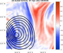 smallDomain_vorticity.png