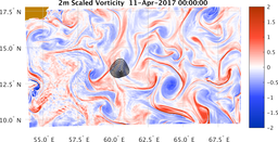 bigDomain_vorticity.png