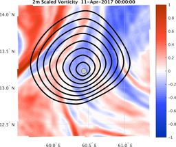 smallDomain_vorticity.png