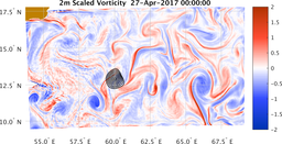 bigDomain_vorticity.png