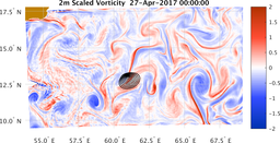 bigDomain_vorticity.png