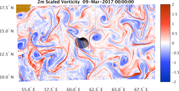 bigDomain_vorticity.png
