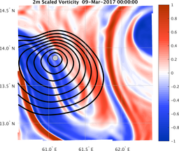 smallDomain_vorticity.png