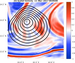 smallDomain_vorticity.png