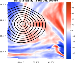 smallDomain_vorticity.png
