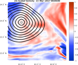 smallDomain_vorticity.png